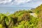 lush coast at New Zealand south