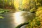 Lush colorful stream rushes over rocks in autumn forest