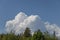Lush coniferous forest at the forefront, with majestic cumulus clouds adorning the azure sky