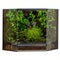 Lush Corner Terrarium with a Mix of Vibrant Plants