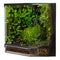 Lush Corner Terrarium with a Mix of Vibrant Plants