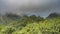 Lush dense jungle covers the hills.