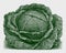 Lush early flat head cabbage variety