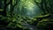 A lush, emerald forest with towering trees and a carpet of moss beneath
