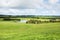 Lush Farmland, Southern Victoria, Australia