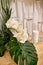 Lush floral arrangement of orchids flowers, monstera leaves and candles, copy space. Wedding presidium in restaurant.