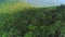Lush foliage Forest trees panoramic aerial view