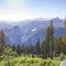 Lush foliage and monumental mountain in Yosemite