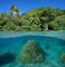 Lush foliage tropical coast and coral underwater