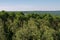 Lush forest landscape at duck mountain provincial park, Manitoba, canada