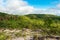 Lush forest in the rainy season - Sertao landscape in Oeiras, Piaui