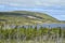 Lush forested hillside and lake along Newfoundland highway