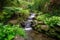 lush garden landscapes with waterfall and stream, surrounded by greenery