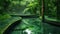 Lush Garden Path with Reflective Pools. Tranquil garden pathway flanked by reflective pools in an urban park