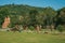 Lush garden with pathway and sandstone sculptures