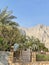 Lush Gardens of Wadi Sha`am