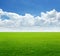 Lush grass field and blue sky with cloud background