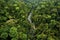 lush green amazon rainforest from above