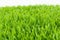 Lush Green Artificial Turf Up Close