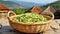 Lush green bean harvest growing on a vibrant open plantation under the warm summer sun.