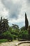 Lush green Botanical garden on a background of clouds. natural trees and relict forests.