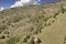 Lush green Colorado mountains near Morrison