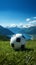 Lush green field embraces a solitary, spherical sports ball