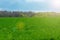 Lush green field, sky with clouds, bushes on the horizon