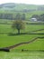 Lush green fields intersected by stone walls in Dumfriesshire, Scotland