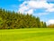 Lush green and freshly mowed meadow on sunny summer day. Rural landspace with green coniferous forest, blue sky and