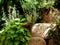 Lush green garden detail with stone retaining wall. beige cement color. round boulders