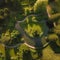 A lush green garden with winding paths and a pond