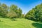 Lush green grass lawn landscaped with foliage rich trees casting shadows on ground with tower in distance