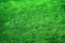 Lush Green Grassy Grass Lawn