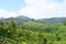 Lush Green Hills, Tea Gardens and Blue Sky in Natural Landscape in Munnar, Idukki, Kerala, India
