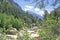 Lush green himalayan forest and valley and snow peaks gangotri