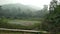 Lush green Indian hills and rain forest with natural lake having lotus floating on it