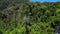 Lush green Jungle tropical mountain landscape Smooth aerial view flight drone