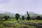 Lush green landscape with monsoon clouds submerging on the mountains at the background