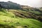 Lush green landscape of New Zealand