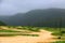 Lush green landscape, trees and foggy mountains in Ayn Khor tourist resort, Salalah, Oman