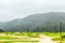 Lush green landscape, trees and foggy mountains in Ayn Khor tourist resort, Salalah, Oman