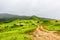 Lush green landscape, trees and foggy mountains in Ayn Khor tourist resort, Salalah, Oman