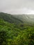 Lush Green Manoa Valley Oahu Hawaii