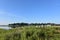 Lush Green Marsh Grass Along Duxbury Bay