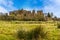 The lush green meadow of the `Great Mere`, Kenilworth, UK with a backdrop of the ruins of the Kenilworth castle