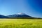 Lush Green Meadow and Mount Bachelor