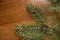 Lush green needle-like leaves of spruce branches on wooden table