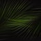 Lush green palm foliage as abstract striped bright exotic pattern on black background, square.