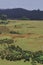 Lush green pine forest and rolling meadows from 6th mile view point near ooty hill station